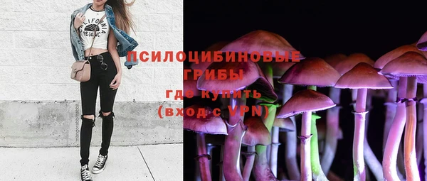 хмурый Алексеевка