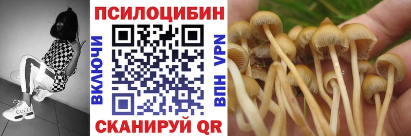 закладка  Кировград  Галлюциногенные грибы Magic Shrooms 