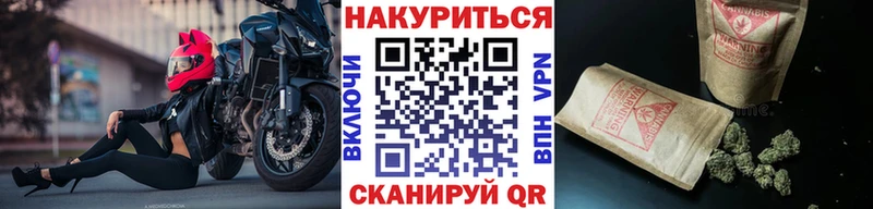 где найти наркотики  kraken   Бошки Шишки ГИДРОПОН  Кировград 